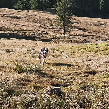 Kachelofenwohnung Poelzleitner Annaberg im Lammertal Exterior foto