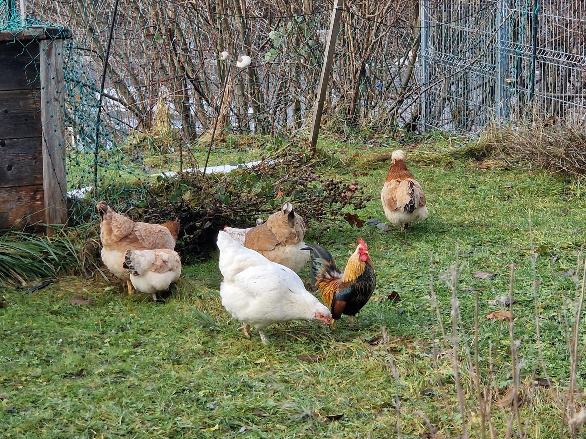 Kachelofenwohnung Poelzleitner Annaberg im Lammertal Exterior foto