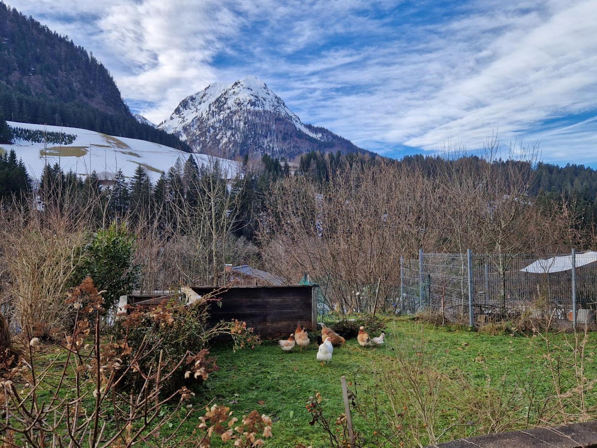 Kachelofenwohnung Poelzleitner Annaberg im Lammertal Exterior foto