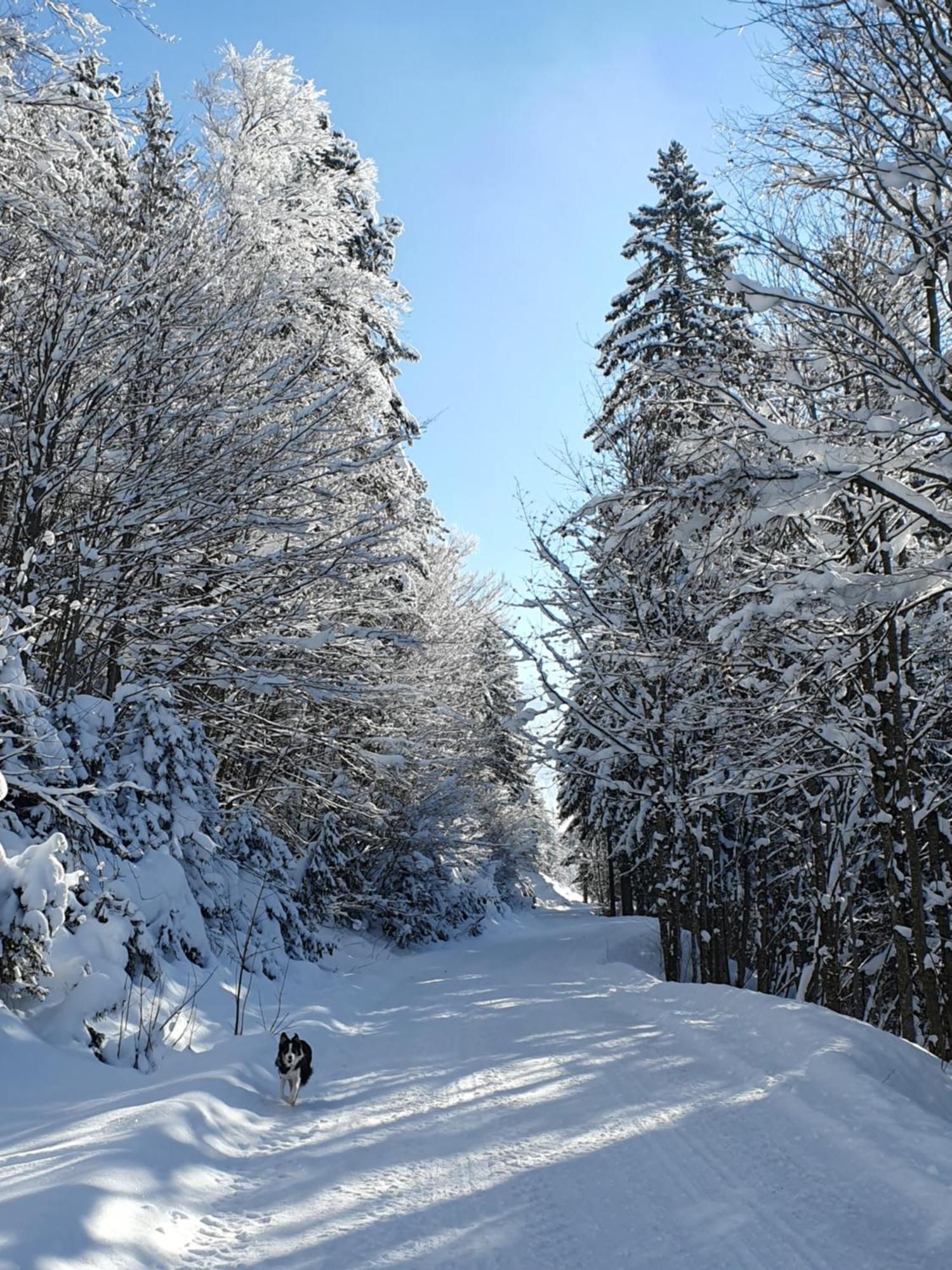 Kachelofenwohnung Poelzleitner Annaberg im Lammertal Exterior foto